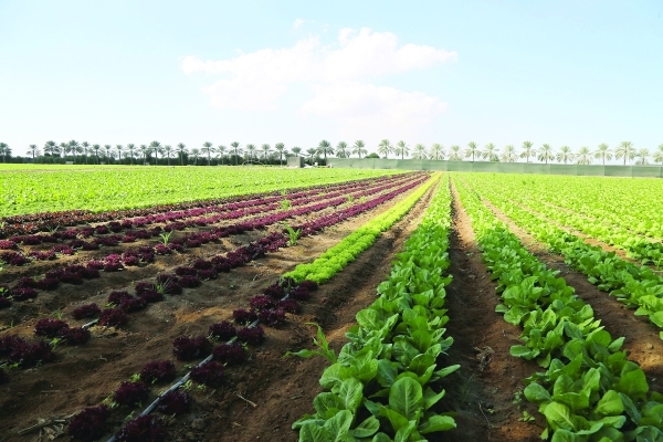 Oman marks International Day of Plant Health