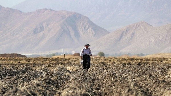 What Islamic finance brings to climate resilience