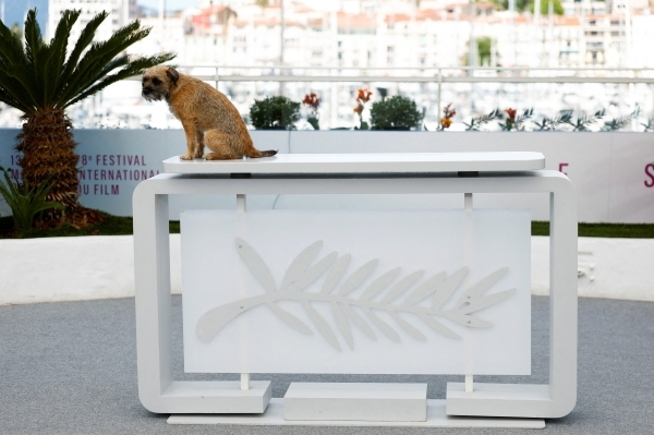 Cannes hit by power sabotage as film festival draws to a close