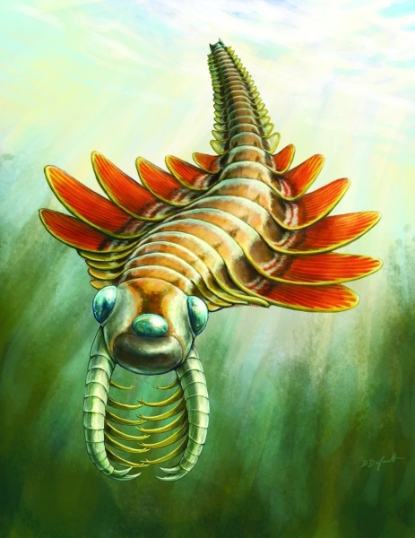 This Fossil's 3 Eyes Are Not Its Most Surprising Feature