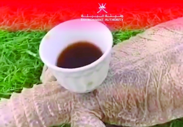 Man caught abusing reptile in Al Dhahirah