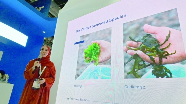 Seaweed farming can support Oman's blue economy, climate goals