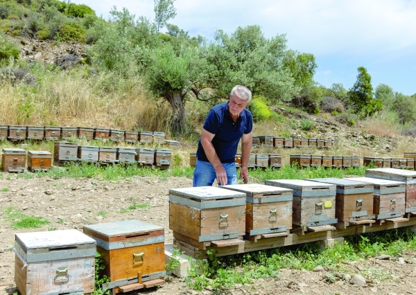 Air from beehives comforts patients in Turkey