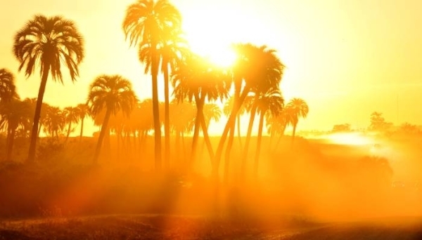 Oman among the hottest places on earth in the past 24 hours