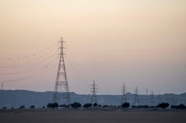 RO 2.1 billion disbursed in subsidies last year