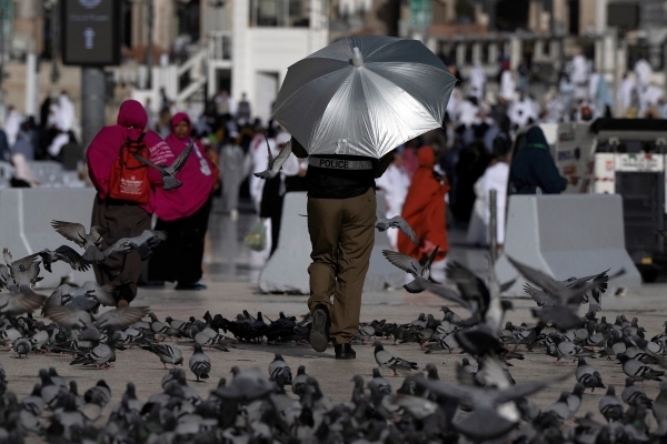 Saudi hosts urge pilgrims to stay indoors during Haj high point
