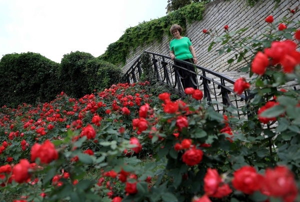 Albania town where everything's coming up roses