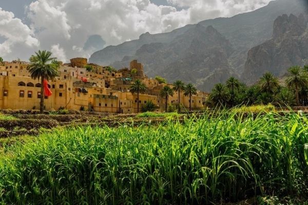 Oman surpasses food security targets as consumption hits RO 3 billion