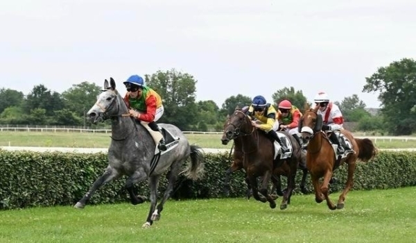 ‘Al Ghanim' secures first place in France's Montauban race