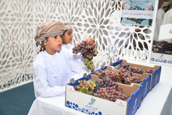 Al Sharqiyah North grape fest highlights agricultural growth