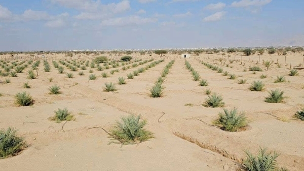 Oman strengthens food security through model farm programme
