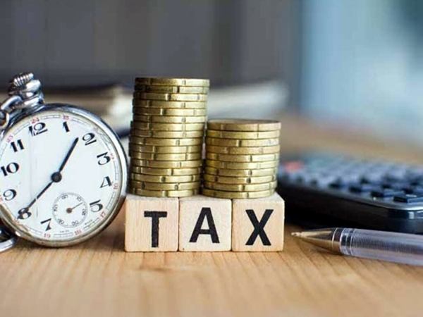 Editorial - Income tax to diversify economy, shore up social protection