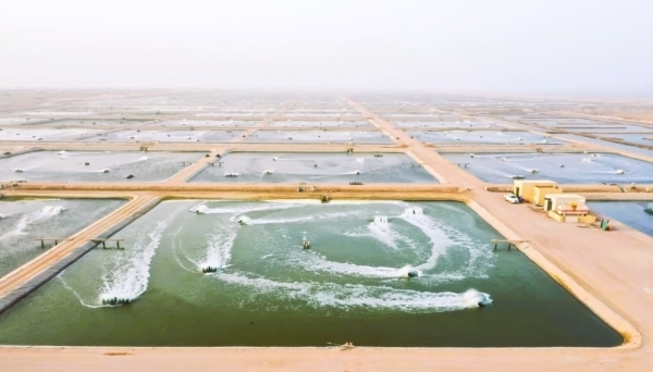 Workshop highlights best practices in integrated fish farming