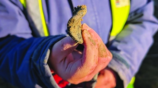 Iron Age Roman settlement uncovered in UK after rare sword find