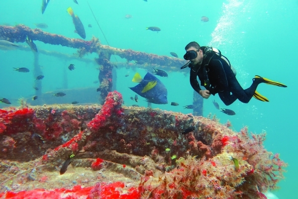Musandam International Diving Festival from August 25 to 28