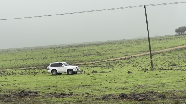 Refrain from driving over green plains