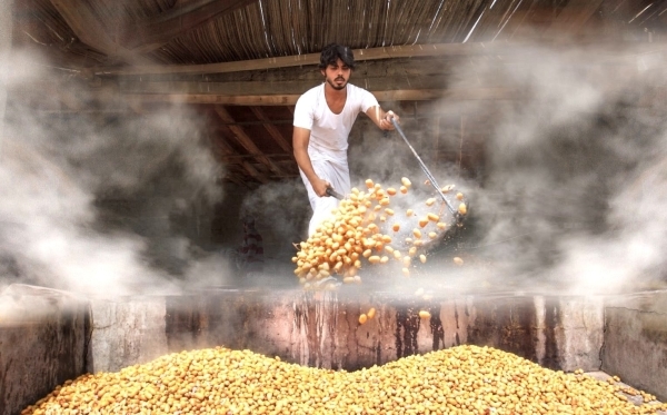 Tabseel season nears end; connects Omanis to their heritage