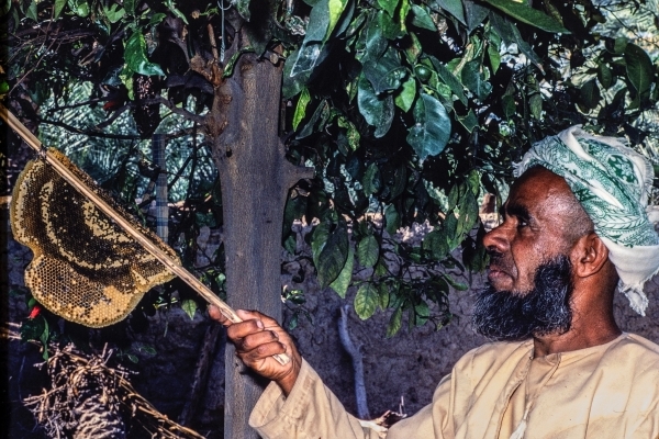 The Tradition of Beekeeping in Oman