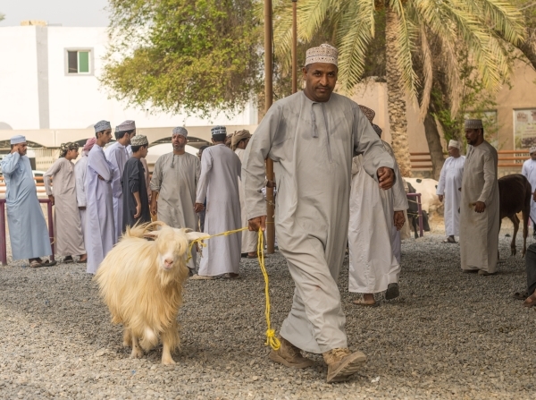 Frames of tradition at Nizwa Goat Market