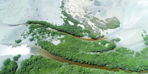 Oman gains Ramsar accreditation for Al Wusta Wetlands Reserve
