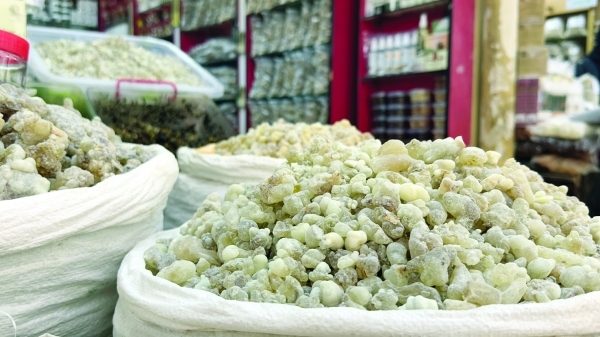 Al Haffa: A monsoon haven for frankincense lovers