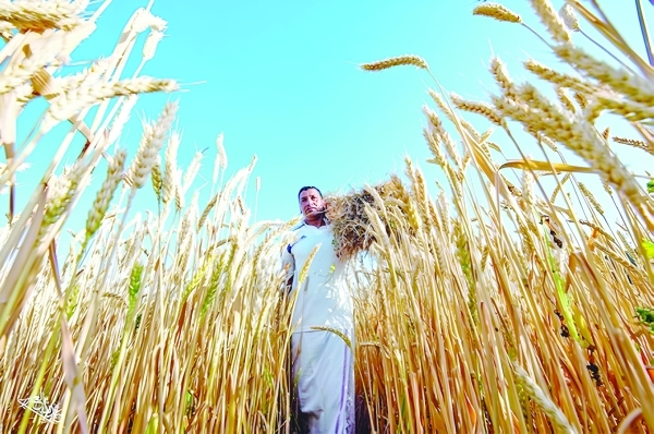 Oman acquires Agribrasil to boost food security