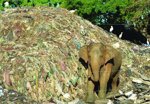 UN push on treaty to curb spiralling plastic menace