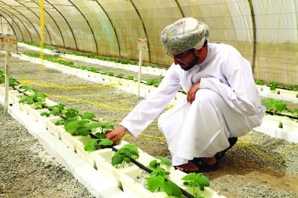 SMART AGRICULTURE FOR SUSTAINABLE GROWTH