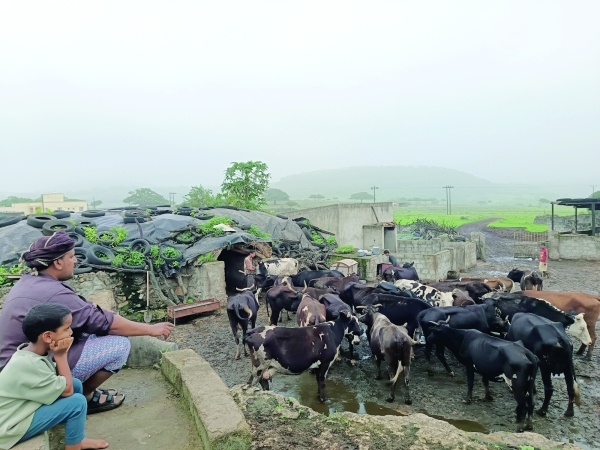Khareef Dhofar Season: Nature's monsoon spectacle weaves heritage and community spirit