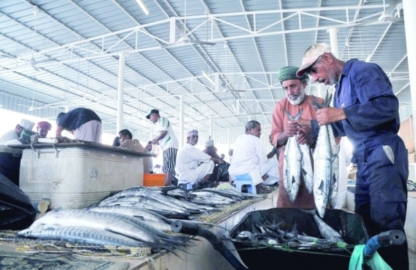 Two-month ban on Kingfish fishing announced
