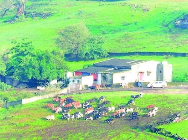 Your khareef visit is not complete without stopping by the emerald valleys of Al San