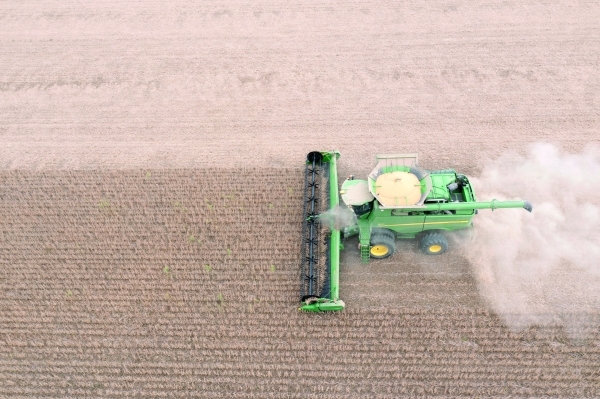 US losing out on China soybean sales as Brazil fills key supply period