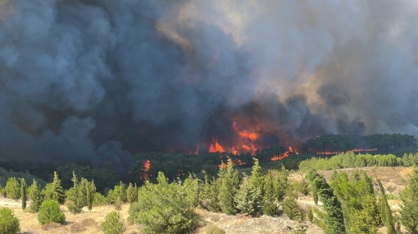 250 flee as Turkish rescuers battle wildfire in Gallipoli