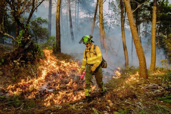 Spain faces 'difficult hours' in wildfire fight