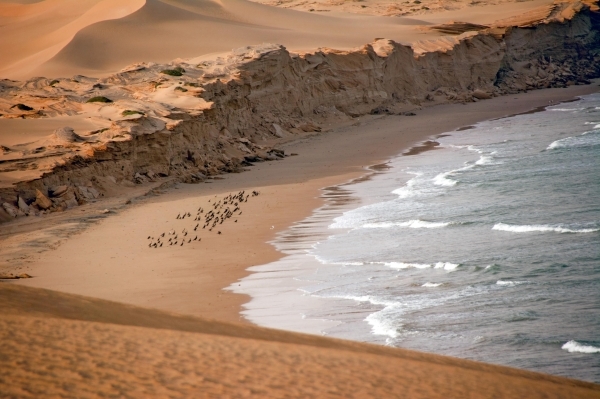 DUQM HOSTS TOURISM HACKATHON FROM AUG 27