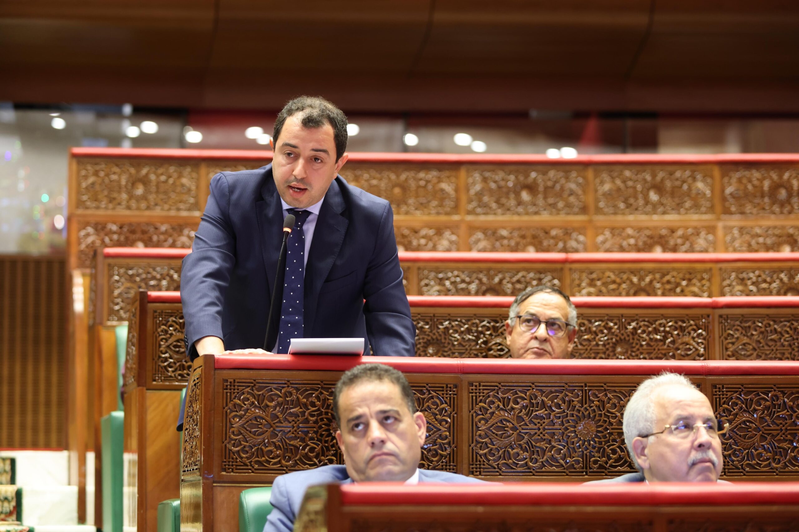 برنيشي يدعو وزير الفلاحة لتفعيل وتنزيل البرنامج الاستعجالي لإعادة تكوين القطيع الوطني بشكل شفاف وناجع