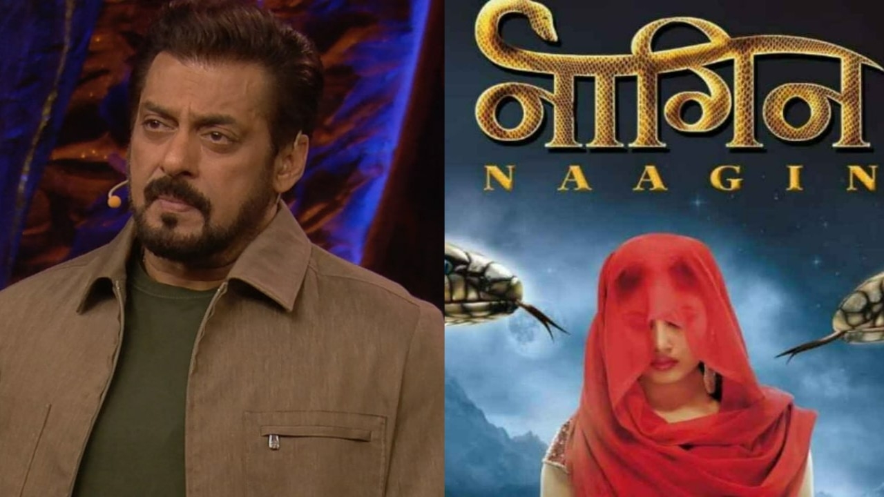 Bigg Boss 19 or Naagin 7? Netizens react to the announcement