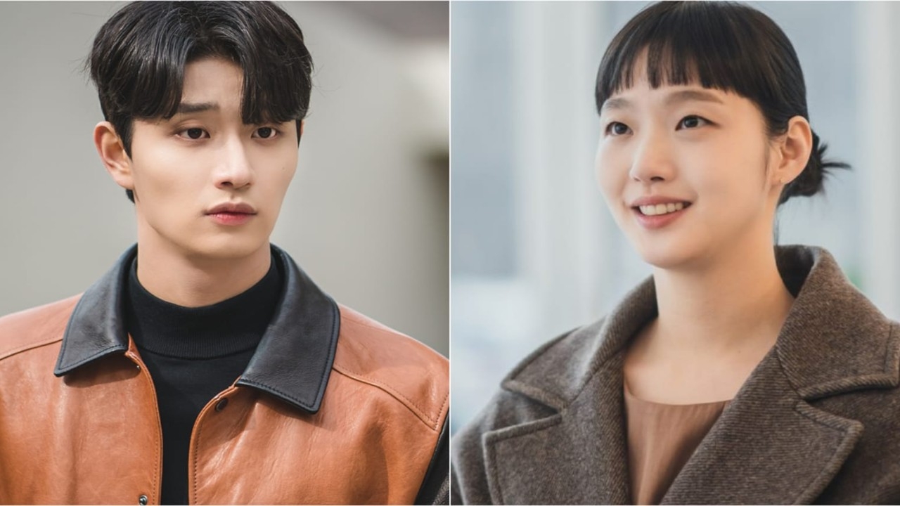 Kim Jae Won joins Yumi's Cells Season 3 as male lead opposite Kim Go Eun; know details about his character