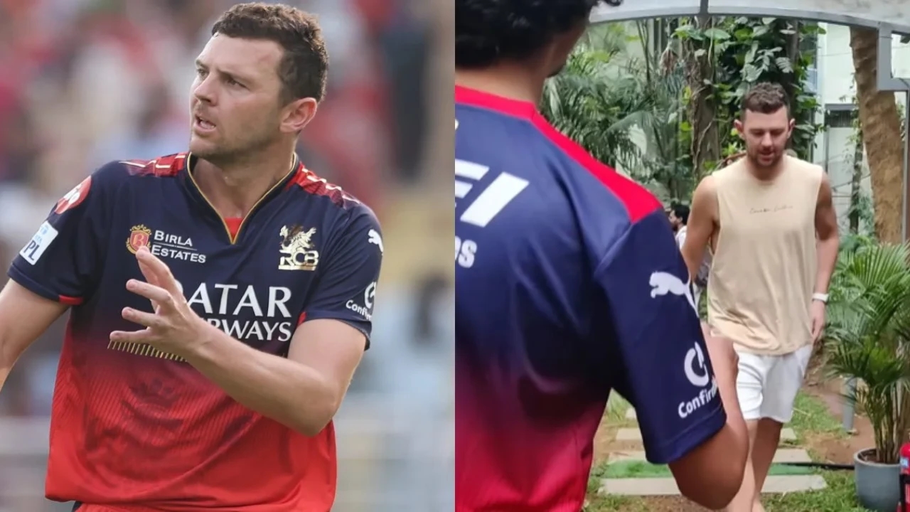 When Australian cricketer Josh Hazlewood refused to shake hands with RCB fan, here's what happened next