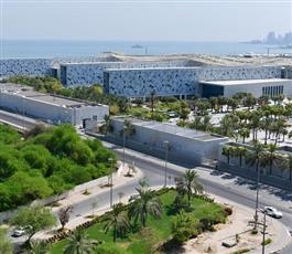 مركز العجيري: الصيف يدخل موسمه الأخير 11 أغسطس.. مع دخول موسم الكليبين
