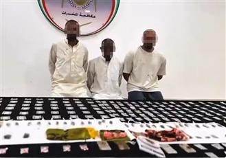 الداخلية تضبط تشكيلاً إجرامياً لترويج المخدرات والمؤثرات العقلية في السالمي