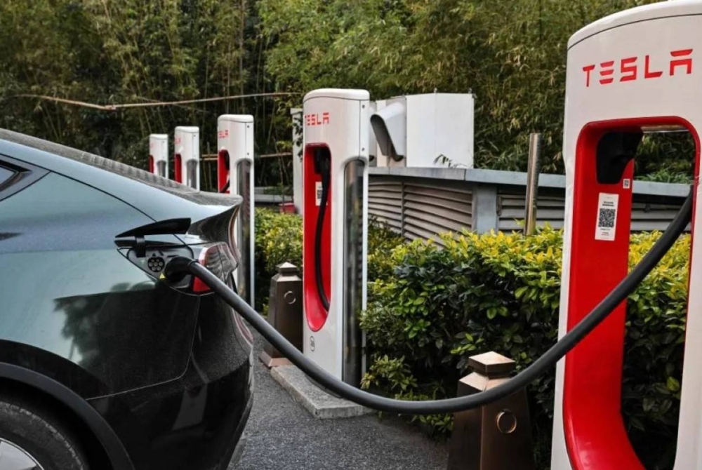 Tesla EU sales slump by 53%