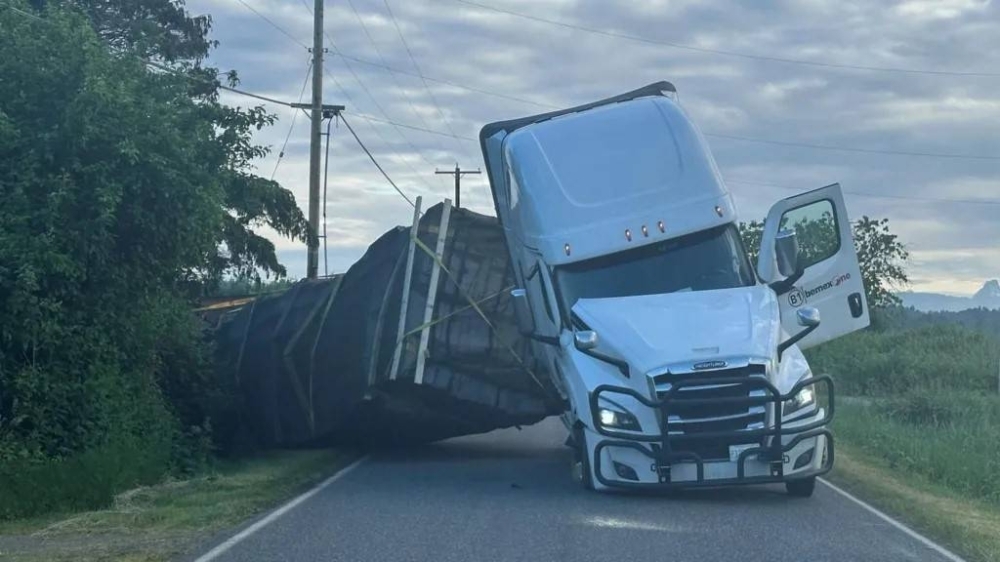 Warning as truck accident unleashes 250 million honeybees in northwestern US