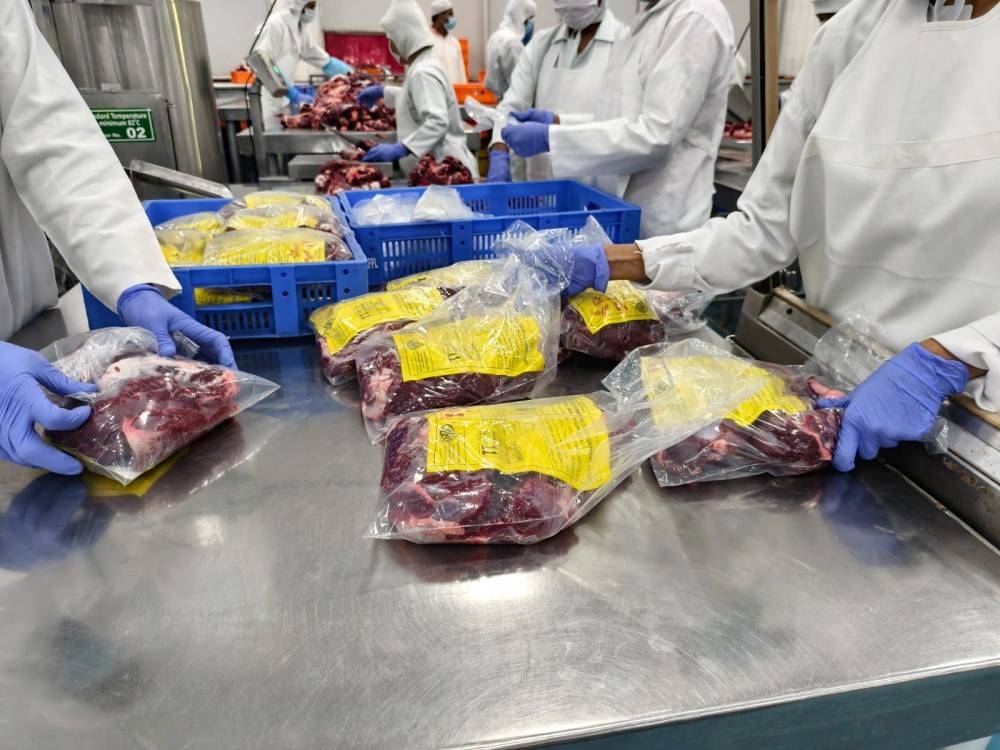 QRCS distributes Udhiya meat to over 737,000 people in 16 countries
