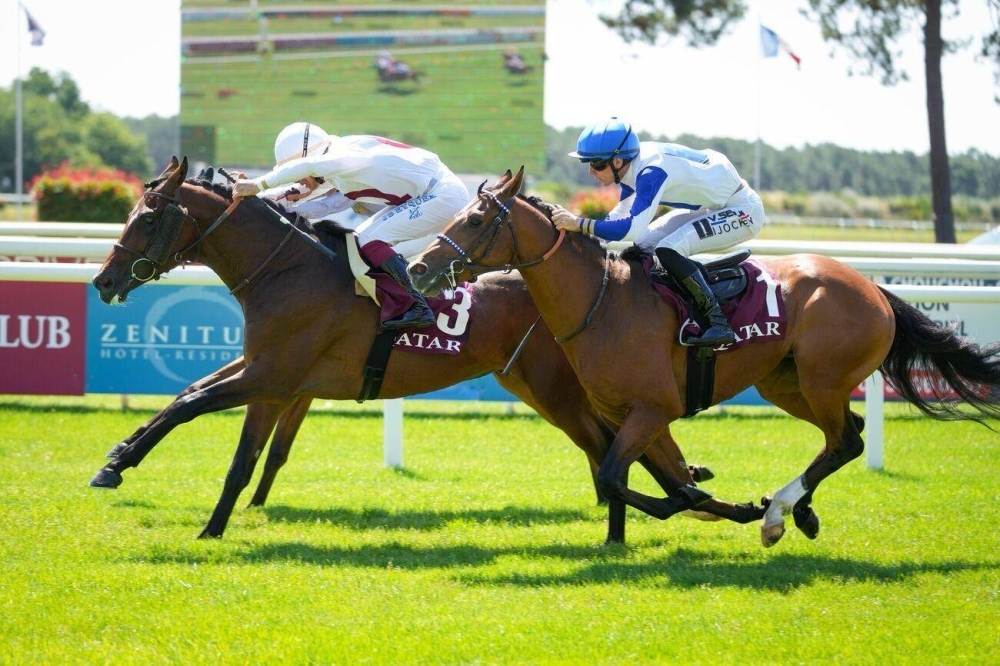 Al Wasmiyah Racing's Laffan stays unbeaten with Gr.2 (PA) win at La Teste
