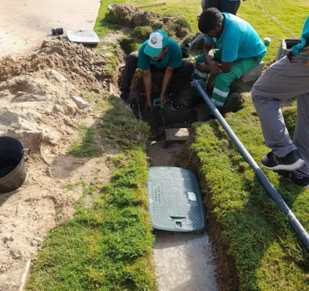 Municipality ministry announces success of first phase of Doha desertification combat project