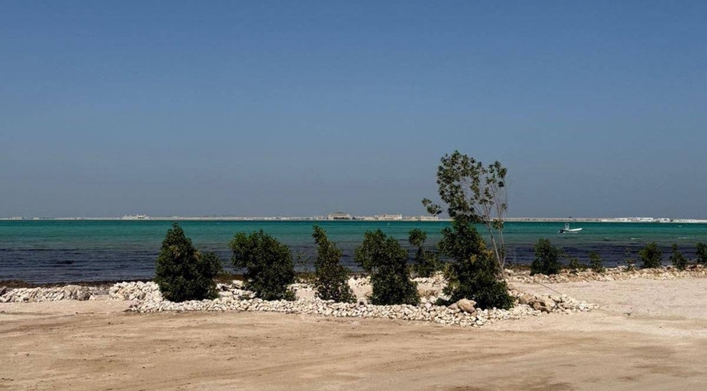 Ministry removes trees at Umm Al Ma'a Beach