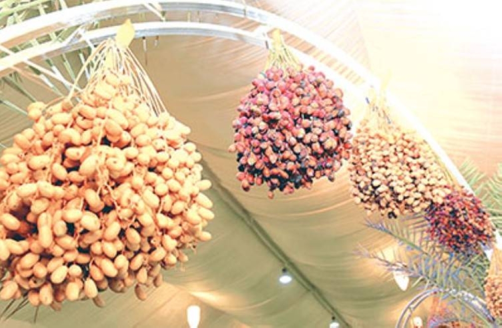 10th edition of Local Date Festival to kick off at Souq Waqif on July 24