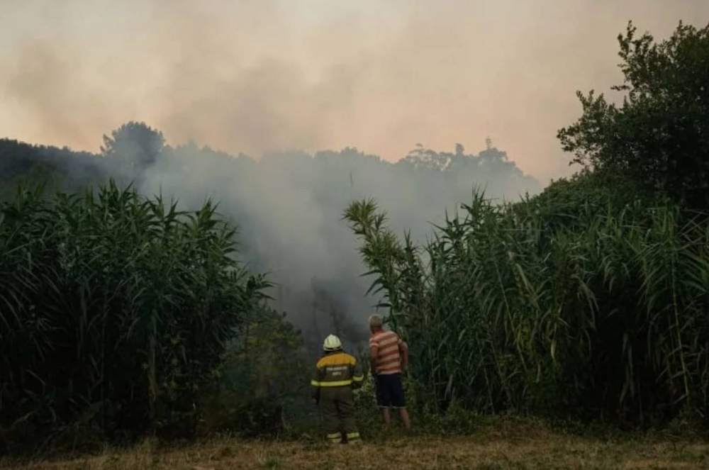 Hundreds of firefighters tackle major forest blaze west of Madrid