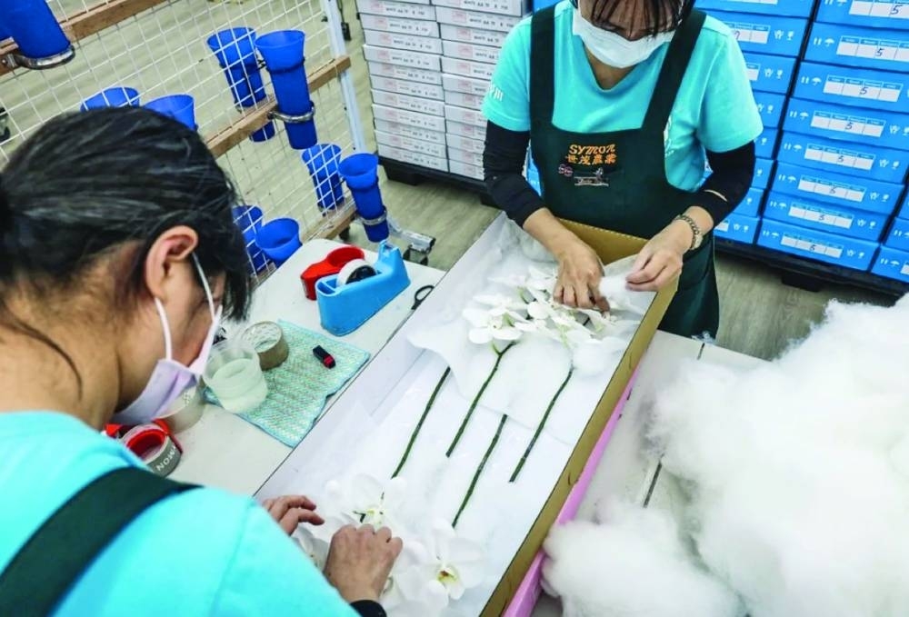 Taiwan's orchid growers dig in as US tariffs shoot up